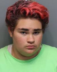 Babysitter Charged In Incident With Children At East Ridge Motel Gets  2-Year Sentence