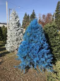 If you want a fresh tree but don't want to rope one to the top of your car, some retailers allow you to order online and have the tree shipped to you. Mikey S Christmas Trees For Sale Christmas Tree Lot And Farm