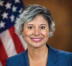 Goodlander Good to Go in NH-02 Dem Primary?