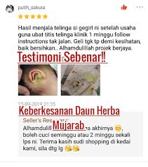 Hijab & heels 5 jenis makanan ini berupaya mengatasi via www.hijabnheels.com. Original Ear Wax Cleanser Pencuci Telinga Daun Herba Mujarab Ship On Same Day Shopee Malaysia