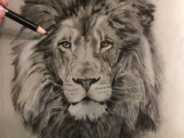 The king of the jungle, the lion is one, if not the largest, strongest and most powerful felines in the world. Drawing A Lion Realistic Art With Charcoal By Simon Medium