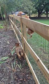 Then use your nail gun or hammer to attach the section to the first post. 20 Diy Dog Fence Ideas Dog Fence Fence Backyard Fences