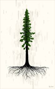 Redwood tree service, auburndale, florida. Tree Tattoo Redwood Tree Illustration Tattooviral Com Your Number One Source For Daily Tattoo Designs Ideas Inspiration