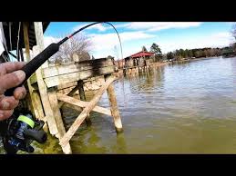 Choosing a faster shipping speed will not expedite the production process! How To Make Crappie Bite Crappie Fishing With A Jig Fish Into The Darkness