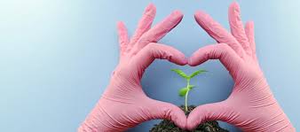 Seed stockers are buying cannabis seeds in bulk direct from the best cannabis breeders in holland and spain. Sensi Seeds 1 Cannabis Seed Bank Since 1985