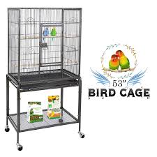 In addition, he earned 21 nationwide series wins despite running a limited schedule there. Zenstyle Bird Cage With Stand Wrought Iron Construction 53 Inch Pet Bird Cage Play Top Parrot Cockatiel Cockatoo Parakeet Finches Birdcage Walmart Com Walmart Com