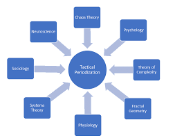 Many other top coaches ( pep guardiola among them) have adopted part of these tactical periodization principles, building their training method around the development of a game model and its principles, using the. Understanding The Tactical Periodization Methodology