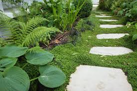 Quelles plantes choisir pour installer à l'ombre d'un arbre ou d'un mur? 6zmdkx E68vhrm