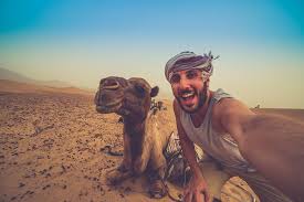 Attested since 2002, originally australian english. Selfies Mit Tieren Suss Oder Total Daneben Urlaubsguru
