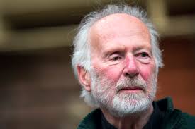 Finding fascination in the ecology of sound