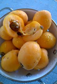 Neu Entdeckt Mispelkonfiture Mispel Thermomix Marmelade Und Gelee