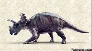 The royal tyrrell museum ceratopsian symposium. New Horned Dinosaur Cousin Of Triceratops Discovered Discover Magazine