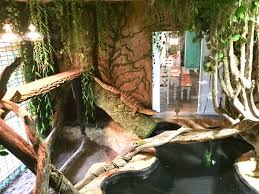 Giant Monitor Lizard Enclosure Water Monitor Reptile Zoo Reptile Room