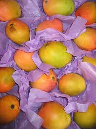 Mangoes Mangoes Marzipan Fruit Fruit