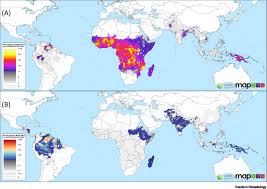 Treatment of the acute blood stage infection is necessary for malaria caused by all malaria species. Ge6cqdduc2g Am
