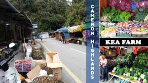 Floricultura, feira livre e fazenda. Vegetable Markets And Farms In Cameron Highlands Comprehensive Guide To Cameron Highlands
