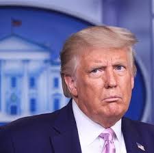 Vote Blue to Save Democracy and Dignity in the US Election