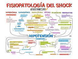 Maybe you would like to learn more about one of these? Fisiopatologia Del Shock Medicina Veterinaria Practica Facebook