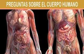 Los Grunidos Del Estomago Ruidos En El Bajo Vientre Biografias E Historia Universal Argentina Y De La Ciencia