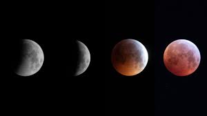 Dayana Vargas Dayana Díaz nudes and videos combined