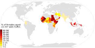 Fgm is a practice that violates the basic human rights of women and girls and seriously nevertheless, among communities that practise fgm it is a highly valued tradition, making eradication. Prevalence Of Female Genital Mutilation Wikipedia
