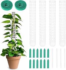 OFFCUP Varillas de Musgo, 4 Piezas Monstera Rankhilfe, con 12 Etiquetas y 2  Rollos de Velcro, Ayuda para Plantas de Interior de 100 cm, para plantación  de jardín, Hiedra y Apoyo (Blanco): Amazon.es: Jardín