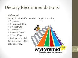 Matter Of Fact Mypyramid Chart Food Wheel Chart Diet Chart