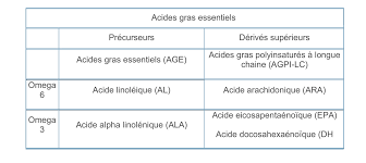 Vous pouvez le voir dans le tableau comparatif, nous sommes transparents sur les montants et nous ne mettons pas en avant une banque plus qu'une autre pour garder une vision objective et vous aider à choisir celle qui vous convient ! Zoom Les Acides Gras Essentiels De 0 A 3 Ans Mpedia Fr