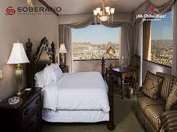 Pin On Tips Chihuahua