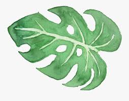 White Watercolor Png Tropical Leaf Watercolor Png Watercolour Palm Leaves Png Free Transparent Clipart Clipartkey Download as svg vector, transparent png, eps or psd. white watercolor png tropical leaf