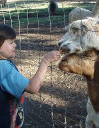 We did not find results for: Country Life Farm Kids Birthday Parties