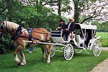 Etiopía y put, que manejan escudo, y los de lud, que manejan {y} entesan el arco. Coche De Caballos Wikipedia La Enciclopedia Libre