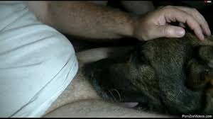 Dude with a sexy cock gets a nice blowjob from a dog