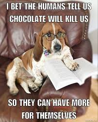 Watson S Wisdom Wednesday Basset Hound Dog Memes Quotes Basset Hound Funny Basset Hound Basset Hound Puppy