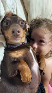 Lacy Stiles here's your girl