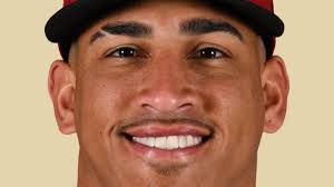Tigers recall Yilber Díaz from Triple-A
