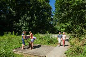 circuit au fil de l eau broceliande destinations bretagne