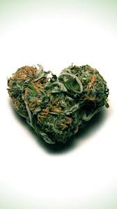 Sign up today and get notified when a new weed wallpaper is online Weed Iphone Wallpapers Group 59