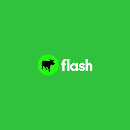 Flash logo