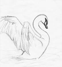 Zodiac Signs The Signs In Draw Your Squad Memes Animal Drawings Sketches Swan Drawing Art