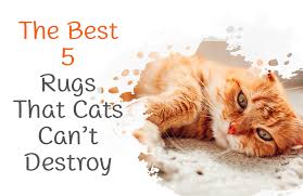 Cats and string — an iconic pairing that actually does not mix. The Best 5 Rugs That Cats Can T Destroy In 2021 Finest Area Rugs