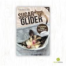 Ayam rebus untuk sugar glider. Sugar Glider Si Hewan Saku Yang Unik Shopee Indonesia