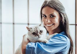 What is it Like to Work as a Veterinarian in the United States?