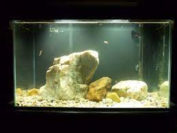 Check spelling or type a new query. Aquarium Rocks Safe And Unsafe Rocks To Put In Fish Tanks Pethelpful