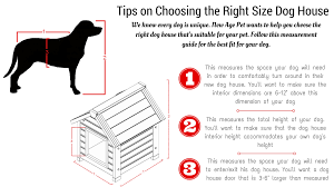 28 all inclusive sizing chart for dogs