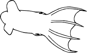 The chihuahuas are faithful, friendly, and very familiar if treated with respect. Vampire Squid Coloring Page Free Printable Coloring Pages For Kids