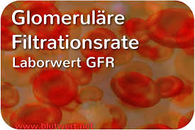 Glomerulare Filtrationsrate Laborwert Gfr