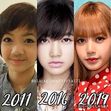 The word plastic, in plastic surgery comes from the word plastikos which is greek. Blackpink Plastic Surgery Blackpink Reborn 2020