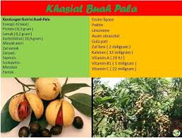 Kandungan kalsium dalam buah pala juga diketahui mampu meningkatkan zat besi dan meningkatkan jumlah sel darah merah sehingga meminimalisir gejala kekurangan zat besi atau anemia. Mikae Products Khasiat Buah Pala Ramai Tak Tahu Yang Facebook