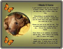 Pin On For My Precious Maddie